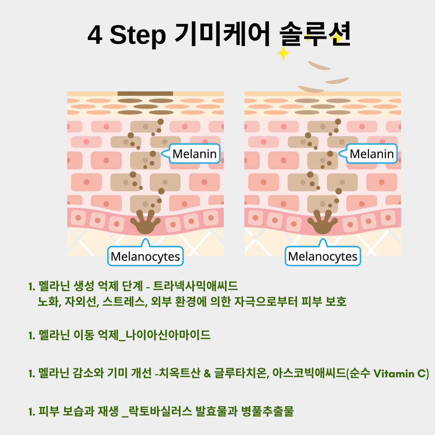 • 콜로이달 오트밀: 자극받은 피부를 진정시키고, 가려움증과 붉은기를 완화하는 진정 효과를 제공합니다.