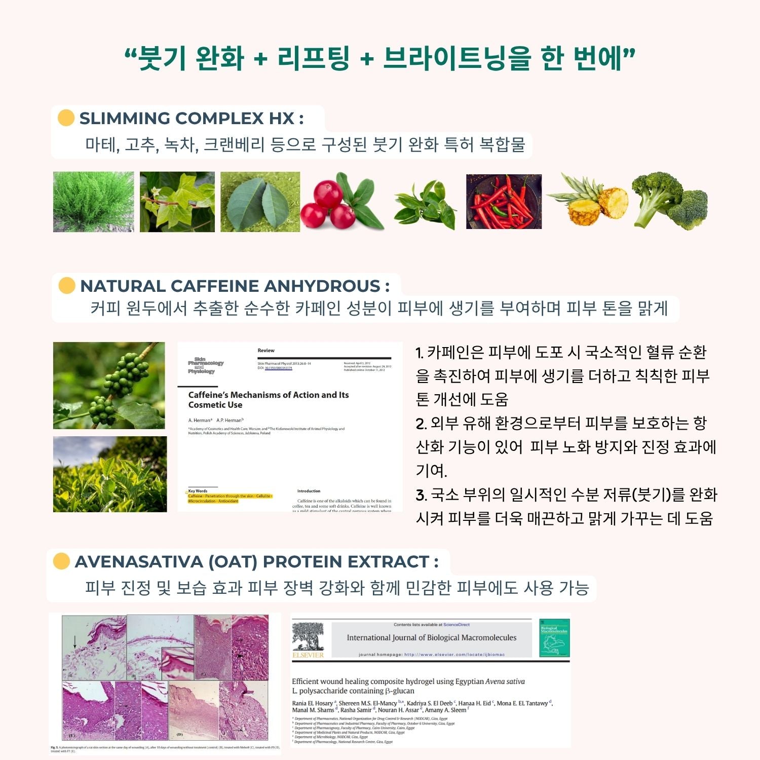 오뜨베 컨투어브이핏 페이스 팩