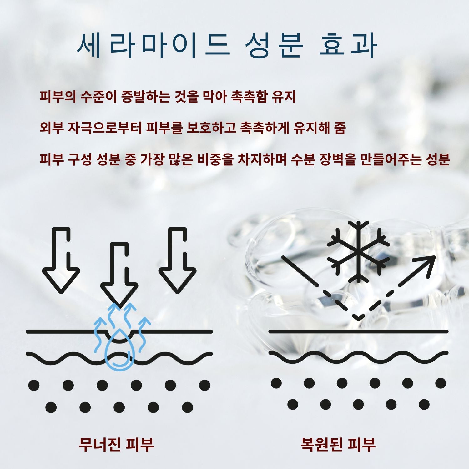 • Ceramide NP: 피부 장벽을 강화해 외부 자극으로부터 피부를 보호하고, 수분을 유지합니다.