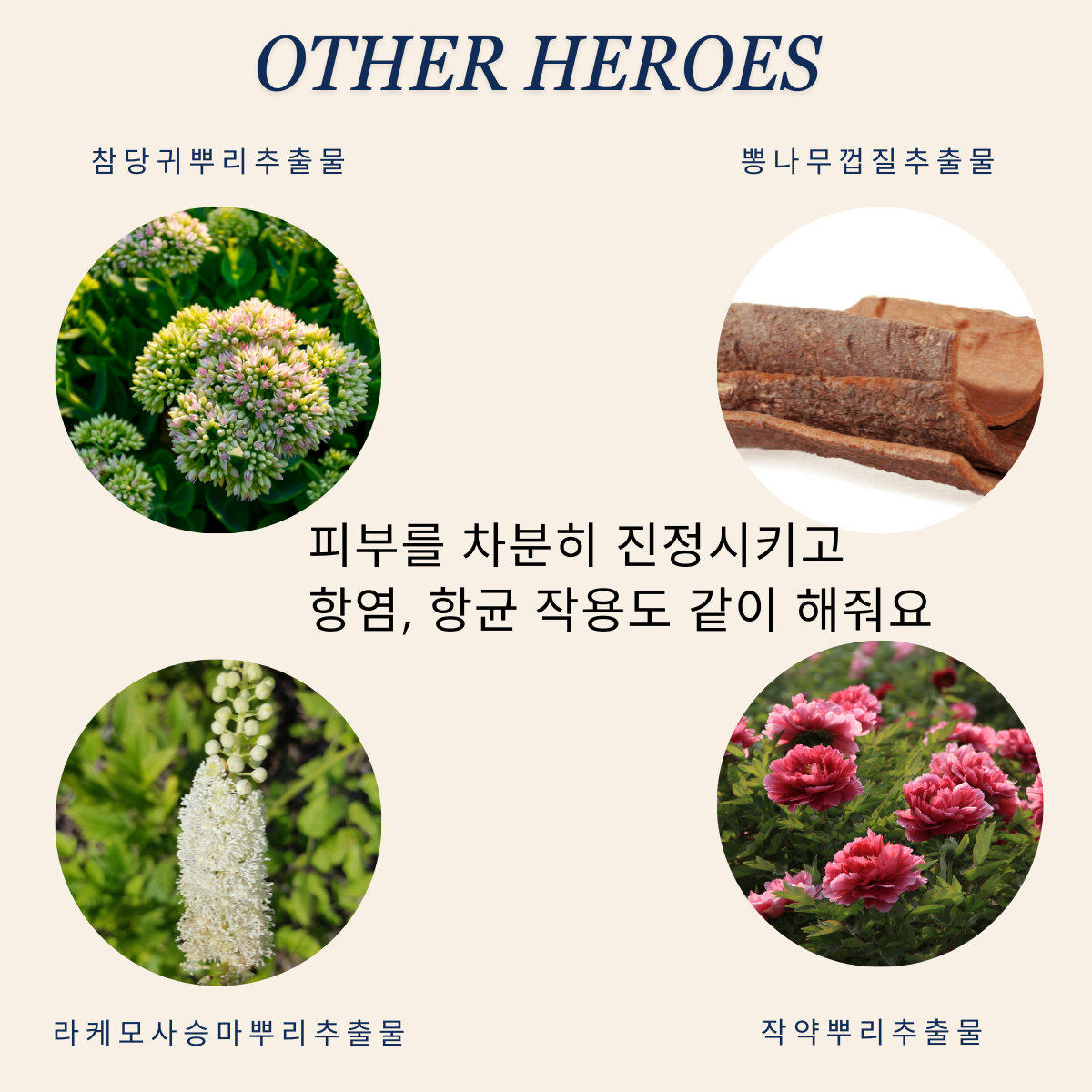 오뜨베 신바이오 베타글루칸 썬크림 SPF 50+ PA+++ (품절)