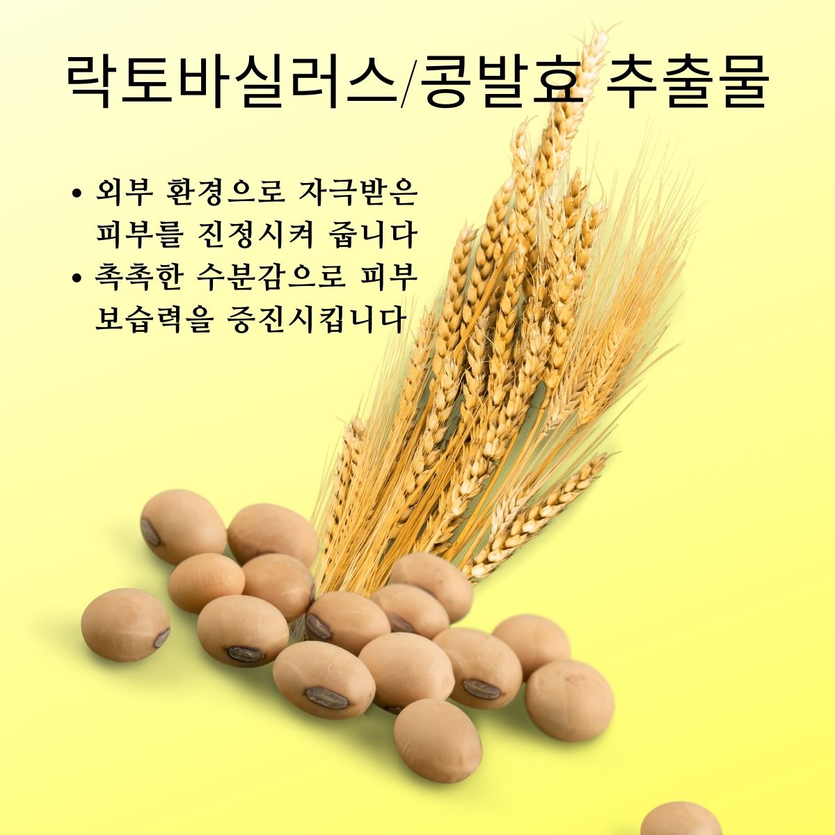 토바실러스/콩발효추출물과 베타글루칸 복합 발효 추출물  함유, 진정 성분이 외부 오염으로부터 피부를 보호하고 건조해진 피부에 영양을 공급해 줍니다.