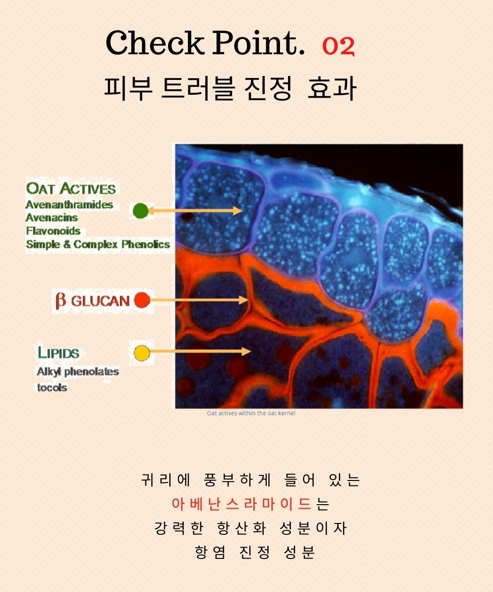 피부 트러블 진정효과로 귀리에 풍부한 아베난스라마이드의 항산화, 항염성분