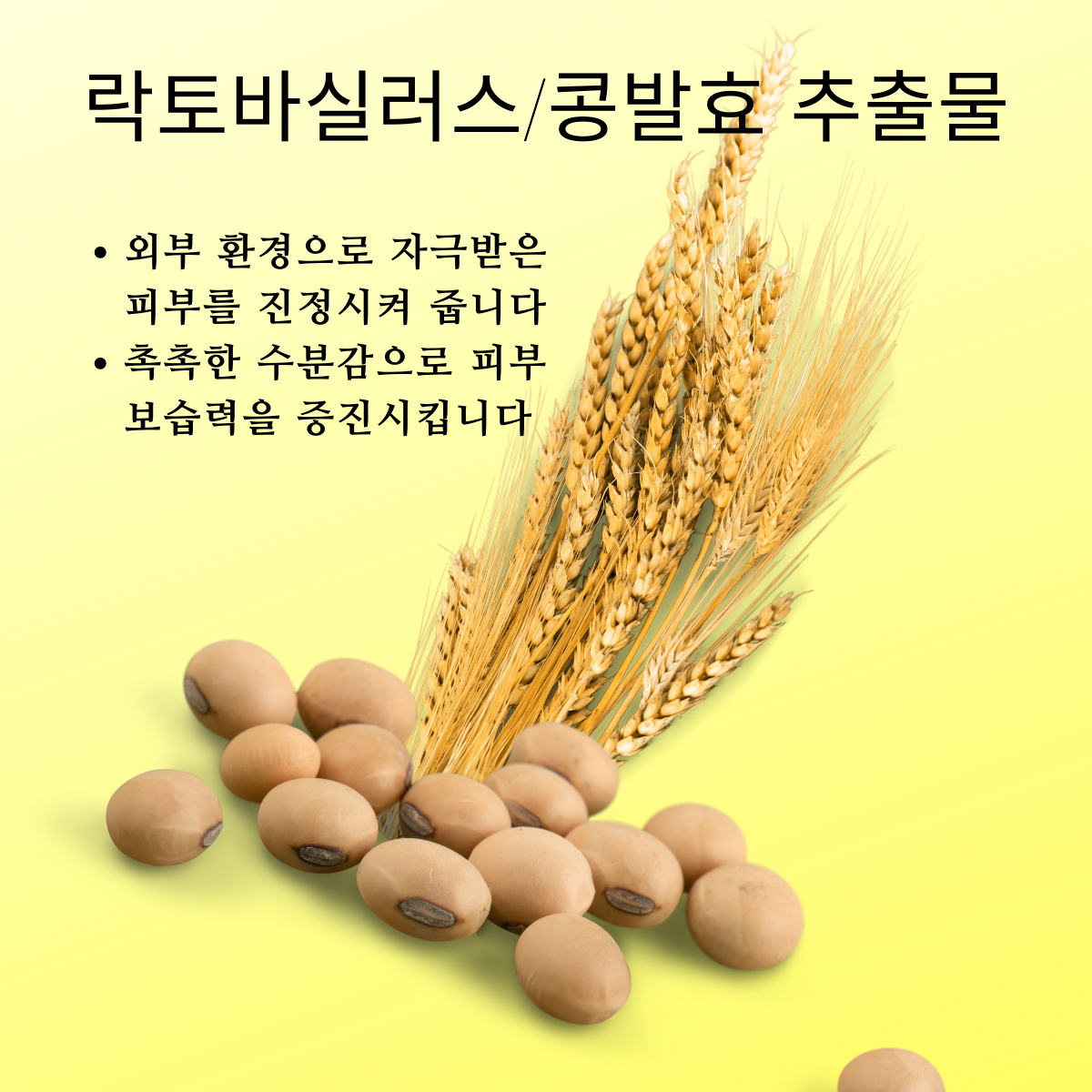 락토바실러스/콩발효추출물과 베타글루칸 복합 발효 추출물  함유, 진정 성분이 외부 오염으로부터 피부를 보호하고 건조해진 피부에 영양을 공급해 줍니다.